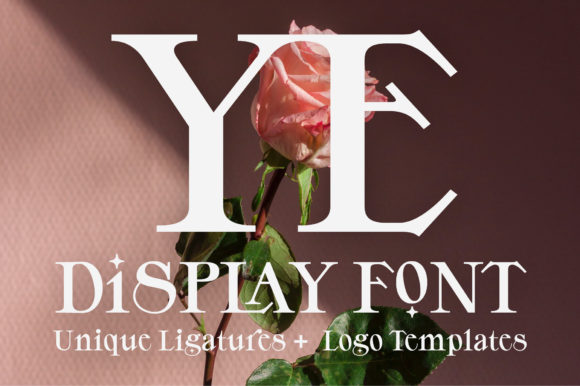 The YE Font: An Editorial Designer's New Favorite Display Typeface