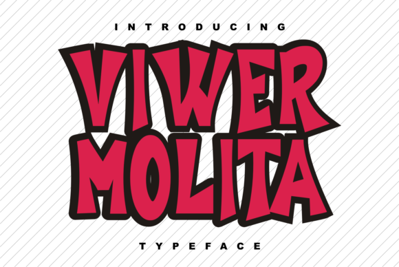 Viwer Molita: A Bold Display Font for Web Designers